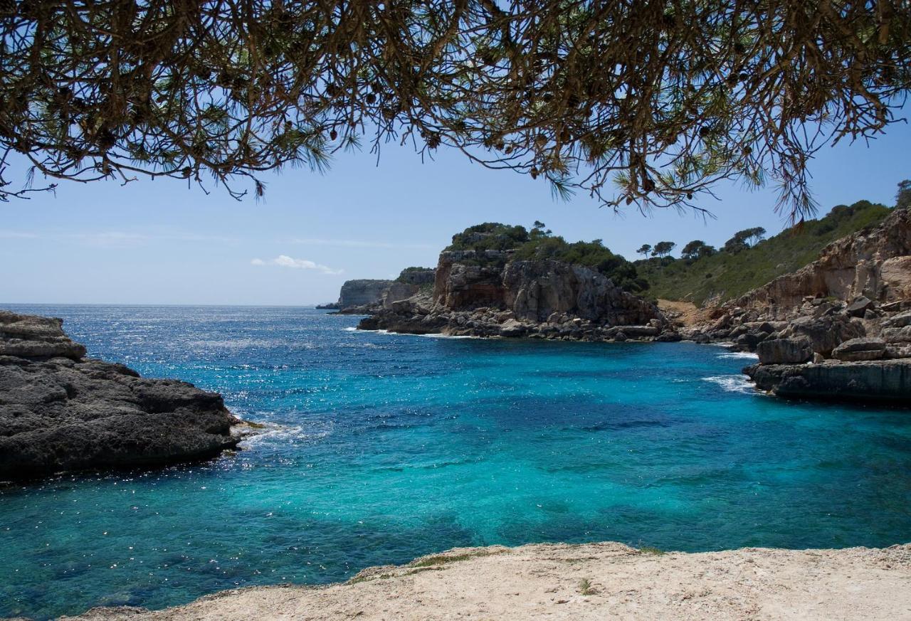 Vakantiehuis Tiana Ses Salines (Mallorca)